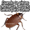 Memes Pa Ti😈  17