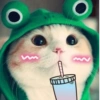 Michis Muy cutes 🩷🐱 11