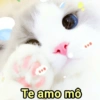 ➳ gato ⊱😽⊱╮
bit.ly/angels-69 27