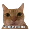Randoms pa responder 2 🤪✨👀 7