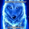 Lobo solirario 🐺 | meme 23