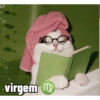 virgem m