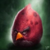 Crimson Bird