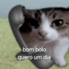 Cachorros que você deve usar 6