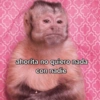 Memes 73 27