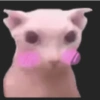 Nooo 12