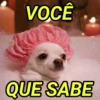 VOCÊ QUE SABE
