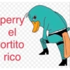 perry el ortito rico
