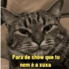 Para de show que tu nem é a xuxa