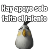 Hay apoyo solo falta el talento