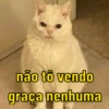 Reações variadas 😂 8