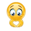 EMOJIS😀😃🥹😅😂 11