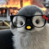 Pingüino cute🐧 15