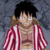 Luffy 30