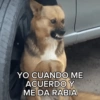 Memes Sin Sentido🥴🫧  27