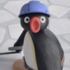 Pingu. | @ocenferios  Haki. 8