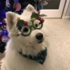 ☃️ A little bit Christmassy ☃️ 9