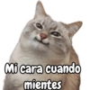 Mi cara cuando mientes