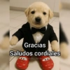 🍷🗿 MEMES ELEGANTES 🗿🍷 14