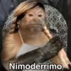 🙊🐒 Monitos 🐒🙈 10