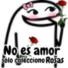 No es amor Sólo colecciono Rosas