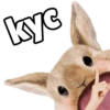 kyc