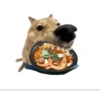 Memes de cachorro 6