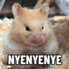 NYENYENYE