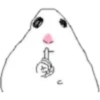 Hamster 3 11