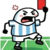 Flork Argentina-Mundial 2026🇦🇷✨ 13