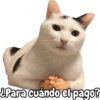 ¿Para cuándo el pago?