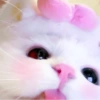 ➳ gato ⊱😽⊱╮
bit.ly/angels-69 10