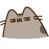 Gatinho fofo 12