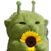 Flores Amarillas🌻🌻 16