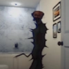 TIKTOK📲 Terror analógico 😨🏴 18