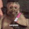 Monos 6