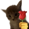 Gatos Icon😻💞⭐ 19