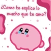 ¿Como te explico lo mucho que te amo?