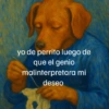 Genio malinterpretó mi deseo 3