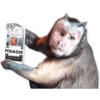 🐒 Macaco Engraçado  21