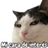 Mi cara de interés