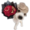 Ramos 💐Para ti Amor❤️ 🐝 19