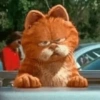 Garfield 7