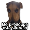 Me preocupa esté silencio