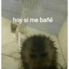 hoy si me bañé