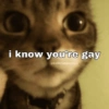 Meow Memes 😾 29