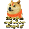 నేను బత్తాయి బ్యాచ్ అని ఎలా కనిపెట్టావ్ బ్రో