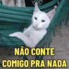 GATINHOS APOCALÍPTICOS 😸 6