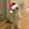 ☃️ A little bit Christmassy ☃️ 13