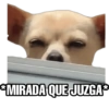 Perritos 12